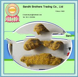 turmeric finger specification