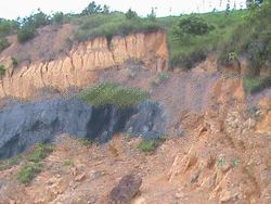 Steam Coal - GCV (ADB) 6100 - 6300