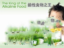 The Best Of Children's Beverage