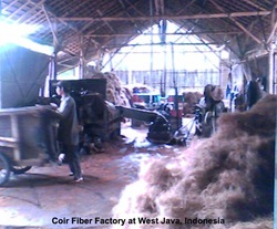 Coir Fiber