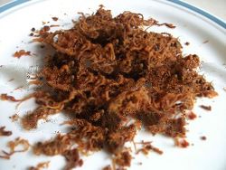 Meat Floss