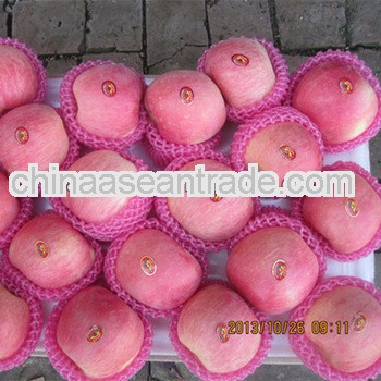 scientific name of all fruits red apple and green apple with delicious sweet much