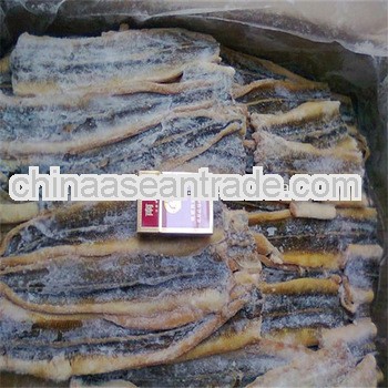 seafood and cooking names ocean fish