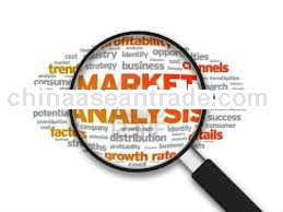 search engine marketing,professional seo google