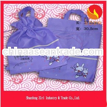 secret compartment nonwoven bag
