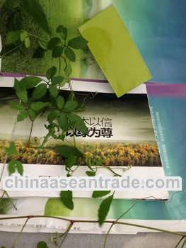 setting High glossy uv mdf board for sliding doors with high quality