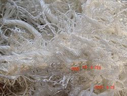 Polyester Tyre Cord waste