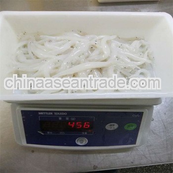 silver fish and quality fish discus