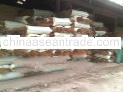 SELL PALM EKEL BROOM STICK