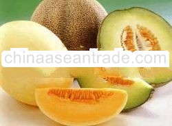 Melons Fresh Fruit from Thailand 100%