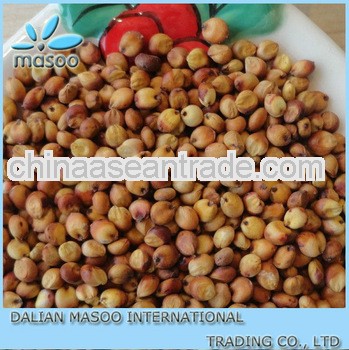 sorghum 2013 - Inner Mongolia China !