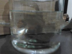 Natural Wild Sinking Agarwood Piece