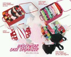UNDERWEAR CASE ORGANIZER