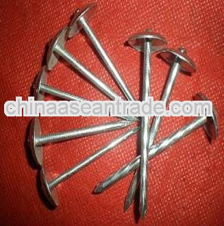 stainless steel coil roofing nails