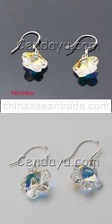 Shiny Silver Earring
