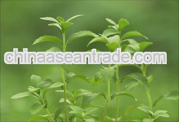 stevia dispenser