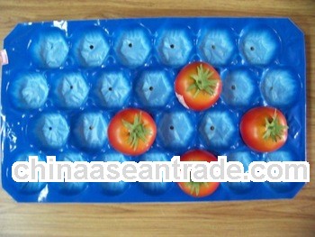 supermarket fruit tray