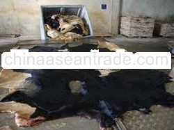 wet salted donkey skin and Horse skin