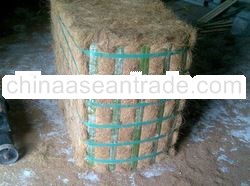 Coconut Fiber (High Quality!)