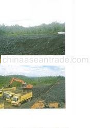 Steam Coal