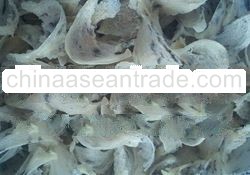 Less Feather Raw Bird's Nest