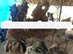 Teak Root Carving Dragon