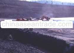 Steam Coal