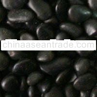 Black Gravel
