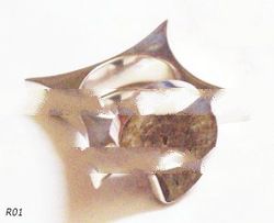 ring ammonite