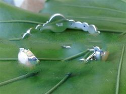 BFMN0011 - Sterling Silver Bangle with Santa Fe Glass Gem Marbles