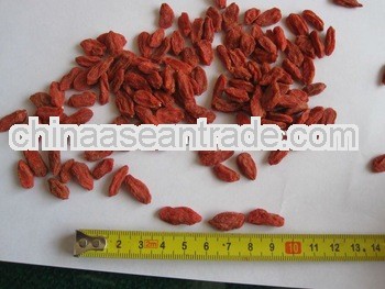 the best dry fruit goji wolfberry