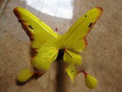 Goose Feather Butterfly