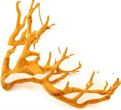 OLD TEAK ROOT FURNITURE OTRF122