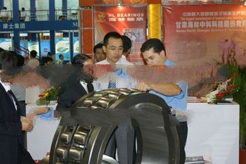 translator and interpreter/business assistant in Zhongshan/Foshan