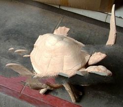 Turtle carving