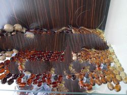 Islamic tesbih amber