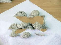 Loose Pebble (Speckle)