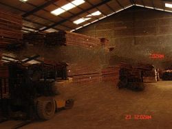 Red Wood
