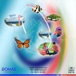 Soft Progressive Ophthalmic Lenses