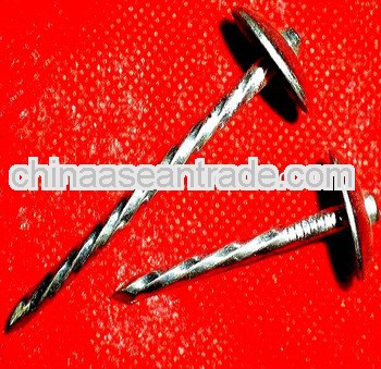 twist umbrella head Galvanized Roofing Nails