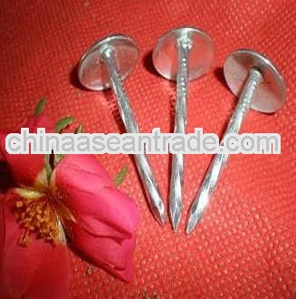twisted umbrella roofing nails suppliers in 