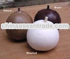 ballon fruit dried natural product