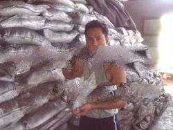 Antimony powder