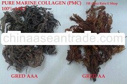 PURE MARINE COLLAGEN