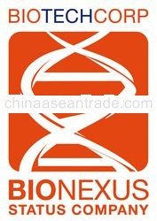 Bird Nest / White Bird Nest/ Edible Bird Nest