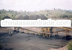 n Steam Coal