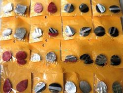 Seashell Piercings Earrings