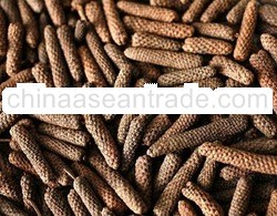 Long Pepper spice