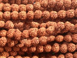 9 mm JAPA MALA SMOOTH CHIKNA OR PATAHRI