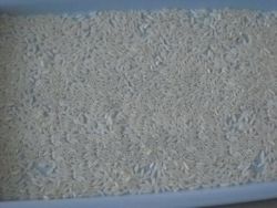  25% broken white rice